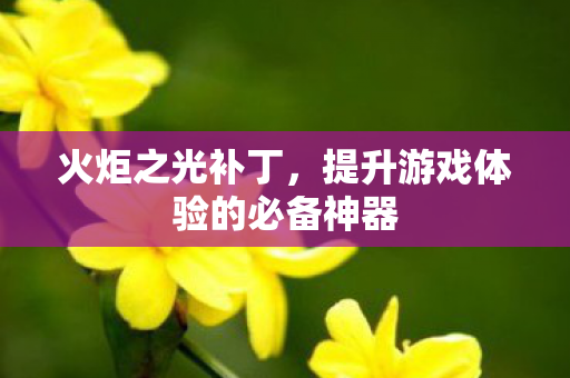 火炬之光补丁，提升游戏体验的必备神器