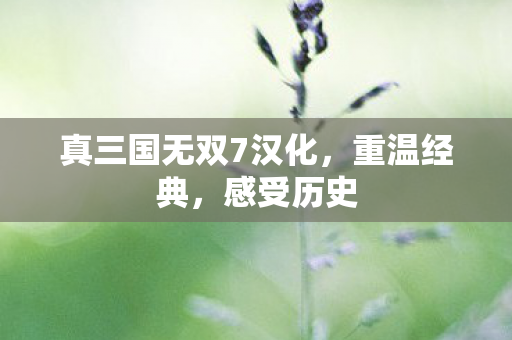 真三国无双7汉化，重温经典，感受历史
