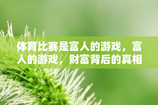 体育比赛是富人的游戏，富人的游戏，财富背后的真相与启示