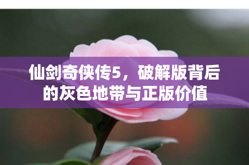 仙剑奇侠传5，破解版背后的灰色地带与正版价值