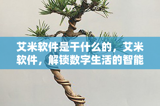 艾米软件是干什么的,艾米软件,解锁数字生活的智能钥匙 艾米软件是干什么的,艾米软件,解锁数字生活的智能钥匙