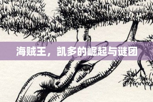 海贼王，凯多的崛起与谜团