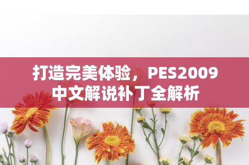 打造完美体验，PES2009中文解说补丁全解析