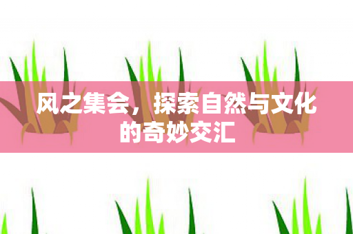 风之集会，探索自然与文化的奇妙交汇