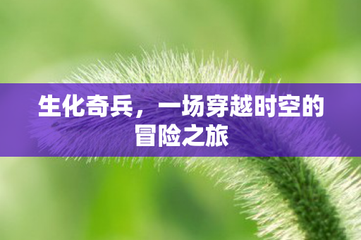生化奇兵，一场穿越时空的冒险之旅