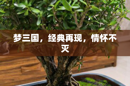 梦三国，经典再现，情怀不灭