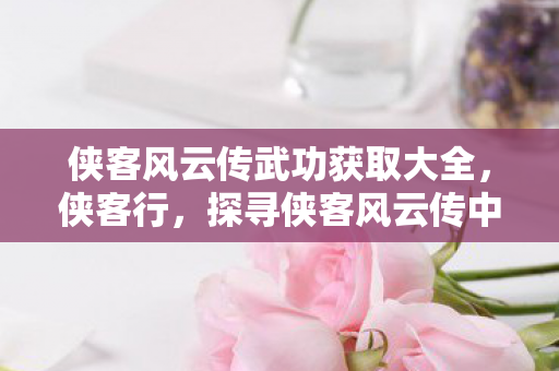 侠客风云传武功获取大全，侠客行，探寻侠客风云传中的武功奥秘