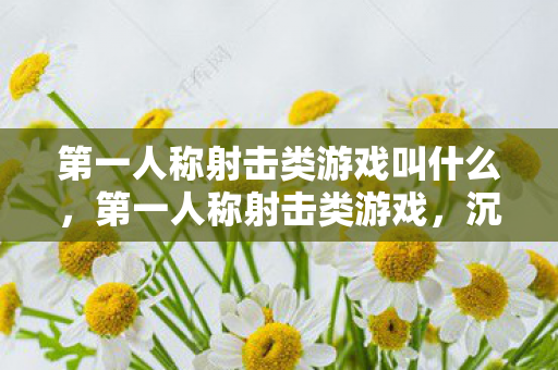 第一人称射击类游戏叫什么，第一人称射击类游戏，沉浸式体验与策略并重的游戏类型