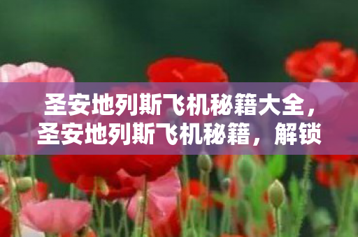 圣安地列斯飞机秘籍大全，圣安地列斯飞机秘籍，解锁飞行梦想的秘籍