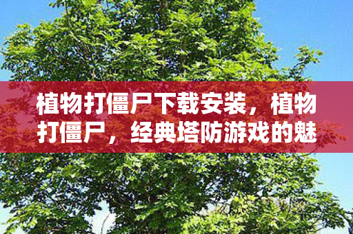 植物打僵尸下载安装，植物打僵尸，经典塔防游戏的魅力与乐趣