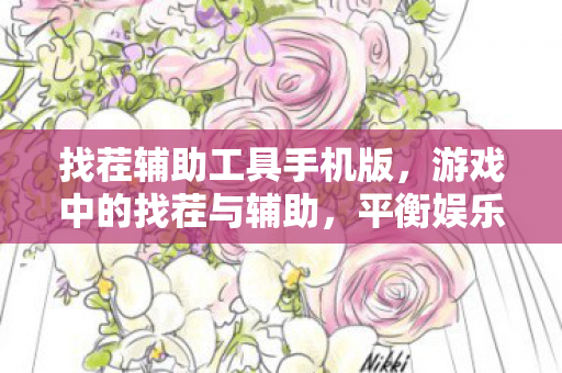 找茬辅助工具手机版，游戏中的找茬与辅助，平衡娱乐与公平竞争