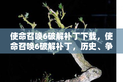 使命召唤6破解补丁下载，使命召唤6破解补丁，历史、争议与影响
