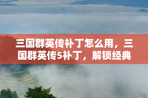 三国群英传补丁怎么用，三国群英传5补丁，解锁经典游戏的无限可能