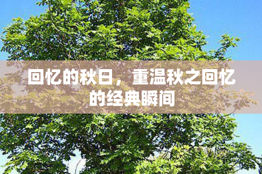 回忆的秋日，重温秋之回忆的经典瞬间