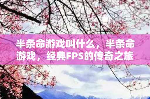 半条命游戏叫什么，半条命游戏，经典FPS的传奇之旅