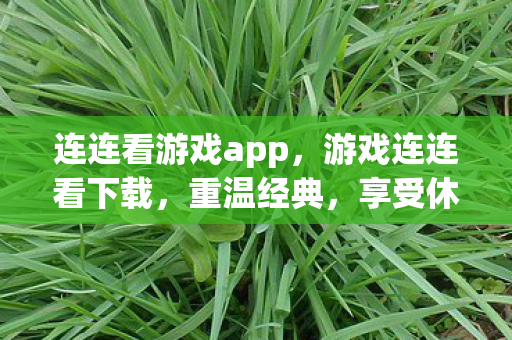 连连看游戏app,游戏连连看下载,重温经典,享受休闲时光 连连看游戏app,游戏连连看下载,重温经典,享受休闲时光