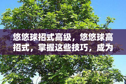 悠悠球招式高级，悠悠球高招式，掌握这些技巧，成为悠悠球高手！