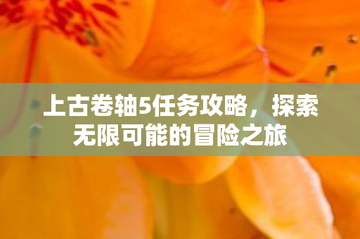 上古卷轴5任务攻略，探索无限可能的冒险之旅
