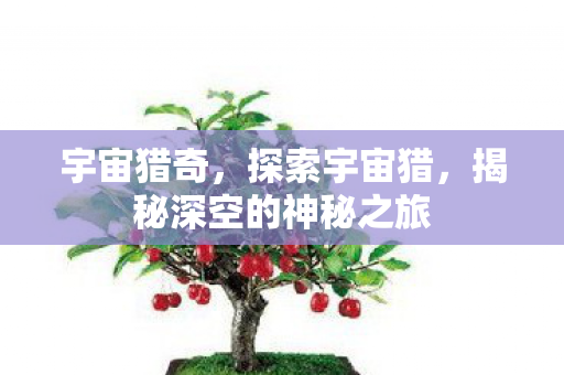 宇宙猎奇，探索宇宙猎，揭秘深空的神秘之旅