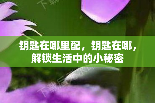 钥匙在哪里配，钥匙在哪，解锁生活中的小秘密