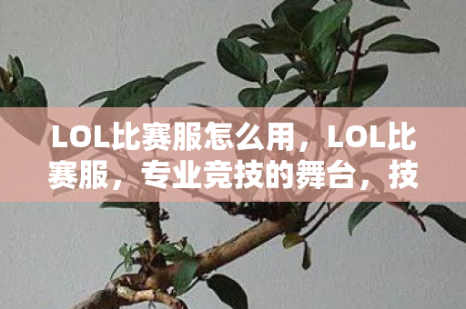 LOL比赛服怎么用，LOL比赛服，专业竞技的舞台，技术与策略的较量