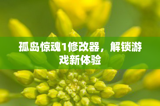 孤岛惊魂1修改器，解锁游戏新体验