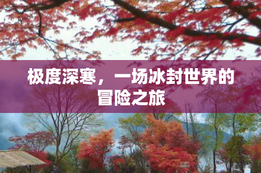 极度深寒,一场冰封世界的冒险之旅 极度深寒,一场冰封世界的冒险之旅