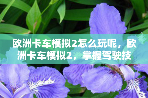 欧洲卡车模拟2怎么玩呢，欧洲卡车模拟2，掌握驾驶技巧与经营策略