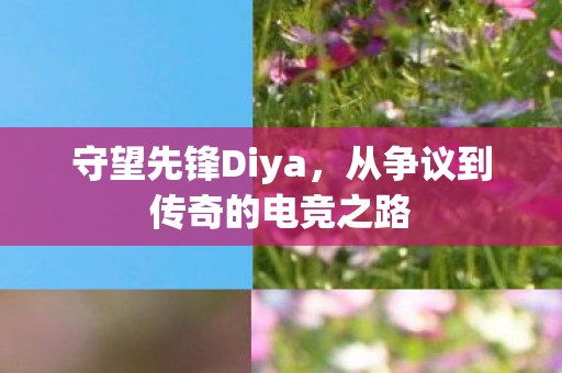 守望先锋Diya，从争议到传奇的电竞之路