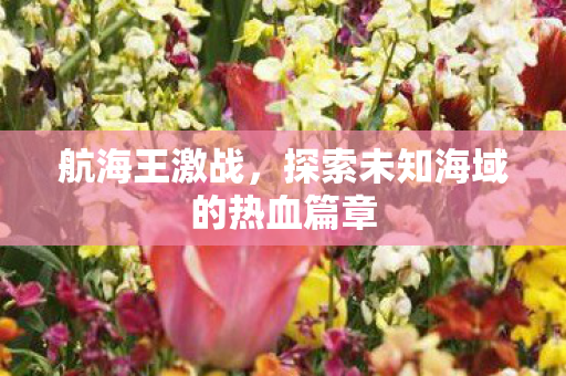 航海王激战，探索未知海域的热血篇章