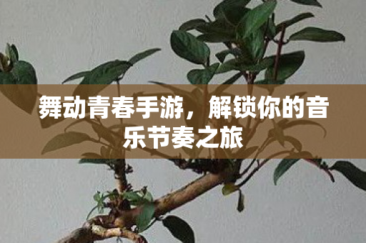 舞动青春手游，解锁你的音乐节奏之旅