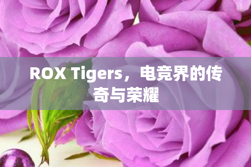 ROX Tigers，电竞界的传奇与荣耀