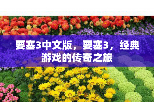 要塞3中文版，要塞3，经典游戏的传奇之旅