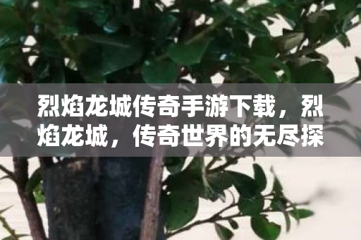 烈焰龙城传奇手游下载，烈焰龙城，传奇世界的无尽探索