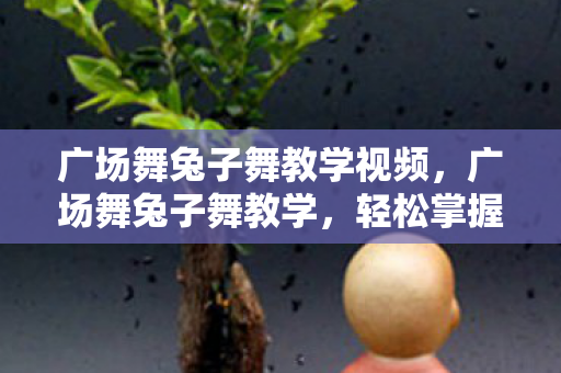 广场舞兔子舞教学视频，广场舞兔子舞教学，轻松掌握节奏与舞步