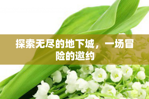 探索无尽的地下城，一场冒险的邀约