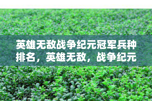 英雄无敌战争纪元冠军兵种排名，英雄无敌，战争纪元——一场史诗般的战争之旅