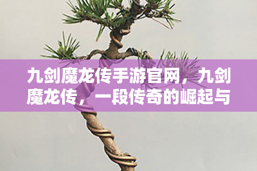 九剑魔龙传手游官网，九剑魔龙传，一段传奇的崛起与陨落