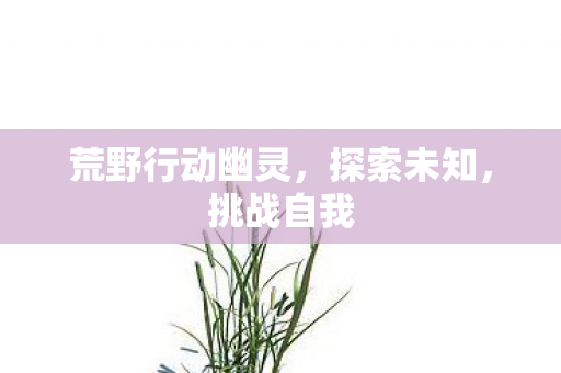 荒野行动幽灵，探索未知，挑战自我