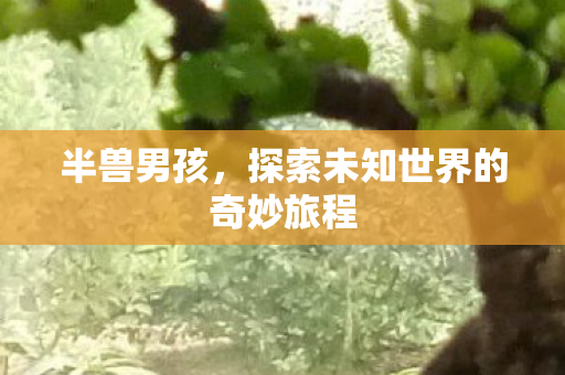 半兽男孩，探索未知世界的奇妙旅程