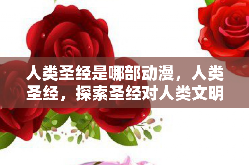 人类圣经是哪部动漫，人类圣经，探索圣经对人类文明的影响