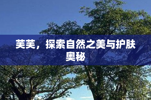 芙芙，探索自然之美与护肤奥秘