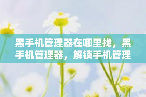 黑手机管理器在哪里找，黑手机管理器，解锁手机管理的秘密