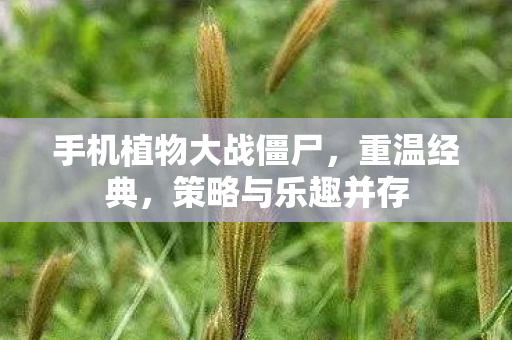 手机植物大战僵尸，重温经典，策略与乐趣并存