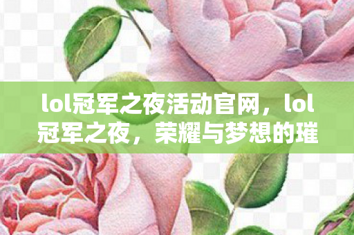 lol冠军之夜活动官网，lol冠军之夜，荣耀与梦想的璀璨时刻