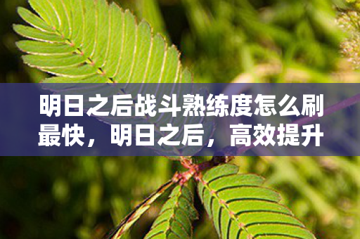 明日之后战斗熟练度怎么刷最快，明日之后，高效提升战斗熟练度的攻略