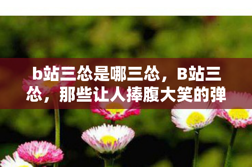 b站三怂是哪三怂，B站三怂，那些让人捧腹大笑的弹幕大神