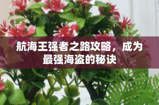 航海王强者之路攻略，成为最强海盗的秘诀