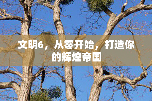 文明6，从零开始，打造你的辉煌帝国
