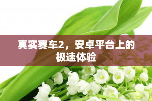 真实赛车2，安卓平台上的极速体验